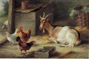 unknow artist poultry  162 Spain oil painting artist